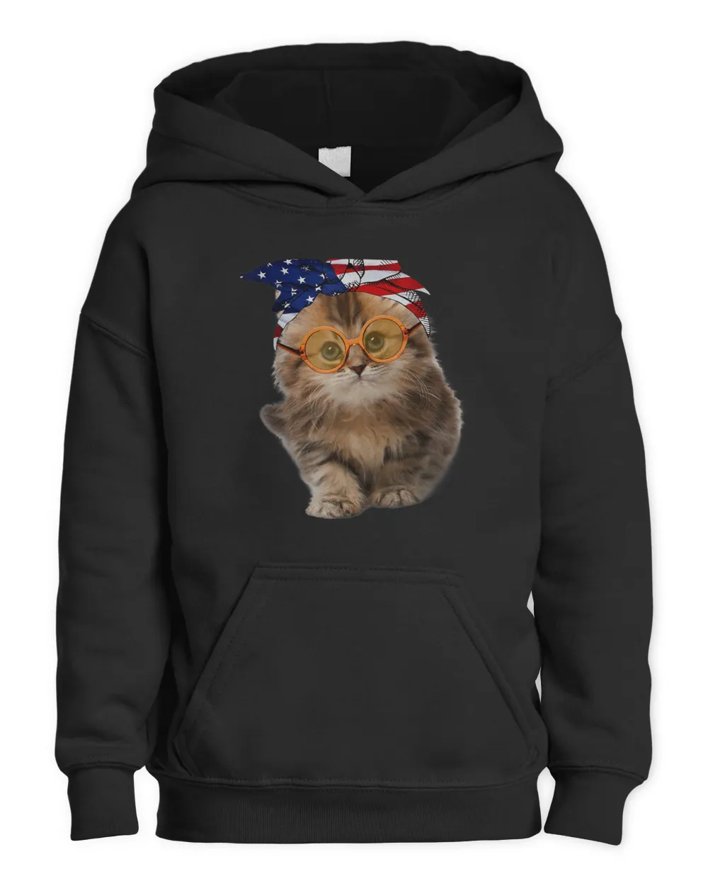 Cats 365 Funny Cute Cat American Flag USA 4th of July Cats T-Shirt Kids Pullover Hoodie black xs