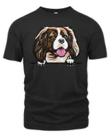 Men's Premium Tshirt Men's Premium Tshirt