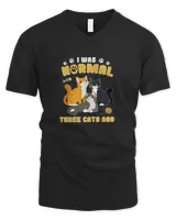 Men's V-Neck T-Shirt Men's V-Neck T-Shirt