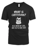 Men's V-Neck T-Shirt Men's V-Neck T-Shirt