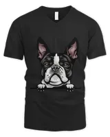 Men's V-Neck T-Shirt Men's V-Neck T-Shirt