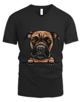 Men's V-Neck T-Shirt Men's V-Neck T-Shirt
