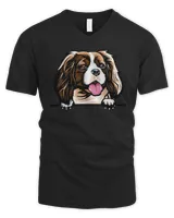 Men's V-Neck T-Shirt Men's V-Neck T-Shirt