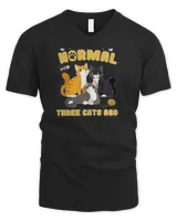 Men's V-Neck T-Shirt Men's V-Neck T-Shirt