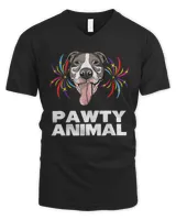 Men's V-Neck T-Shirt Men's V-Neck T-Shirt