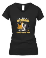 Women's V-Neck T-Shirt Women's V-Neck T-Shirt