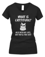 Women's V-Neck T-Shirt Women's V-Neck T-Shirt