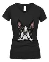 Women's V-Neck T-Shirt Women's V-Neck T-Shirt