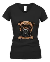 Women's V-Neck T-Shirt Women's V-Neck T-Shirt