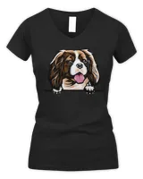 Women's V-Neck T-Shirt Women's V-Neck T-Shirt