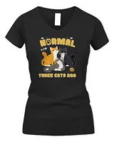 Women's V-Neck T-Shirt Women's V-Neck T-Shirt