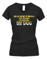 Women's V-Neck T-Shirt Women's V-Neck T-Shirt