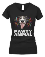 Women's V-Neck T-Shirt Women's V-Neck T-Shirt