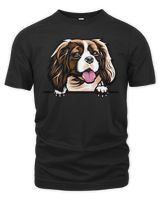 Men's Premium Tshirt