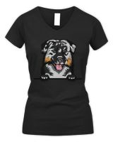 Women's V-Neck T-Shirt Women's V-Neck T-Shirt
