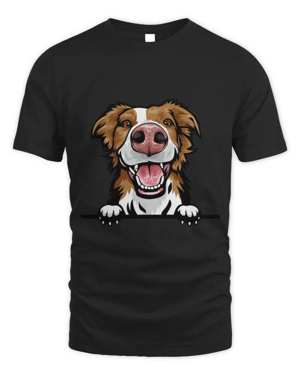 Animal Dog Border Collie